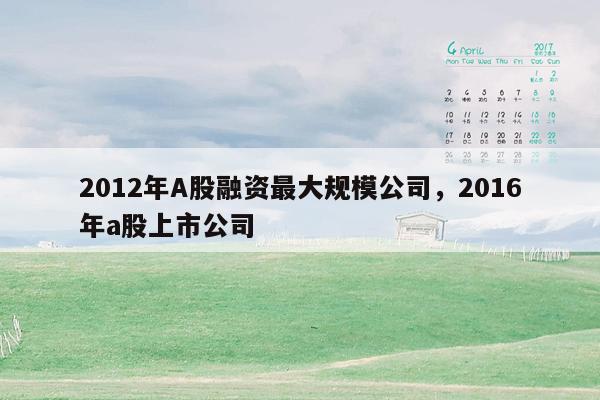 2012年A股融资最大规模公司，2016年a股上市公司