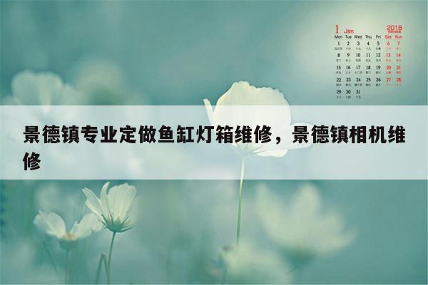 景德镇专业定做鱼缸灯箱维修，景德镇相机维修