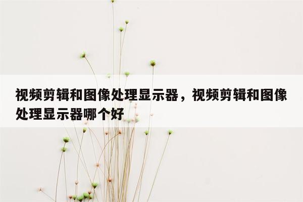 视频剪辑和图像处理显示器，视频剪辑和图像处理显示器哪个好