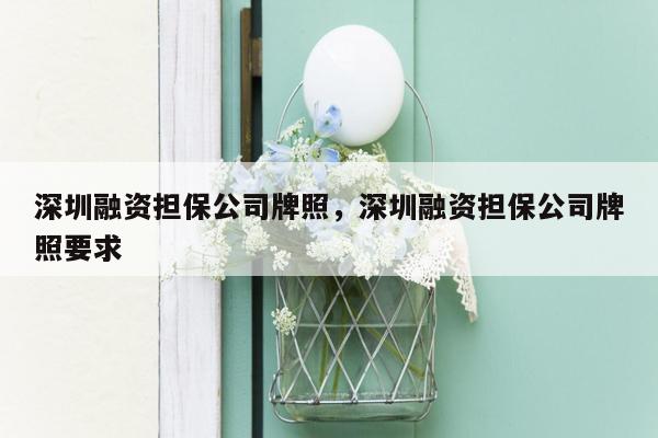 深圳融资担保公司牌照，深圳融资担保公司牌照要求