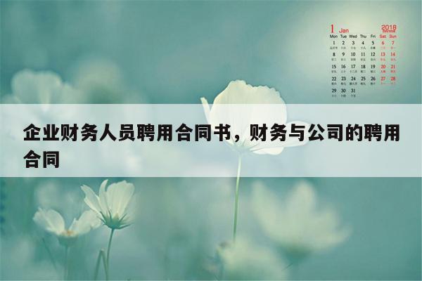 企业财务人员聘用合同书，财务与公司的聘用合同