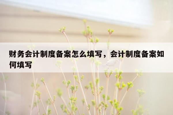 财务会计制度备案怎么填写，会计制度备案如何填写