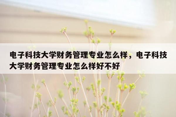 电子科技大学财务管理专业怎么样，电子科技大学财务管理专业怎么样好不好