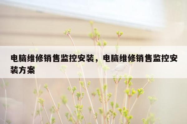 电脑维修销售监控安装，电脑维修销售监控安装方案