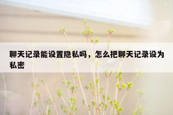 聊天记录能设置隐私吗，怎么把聊天记录设为私密