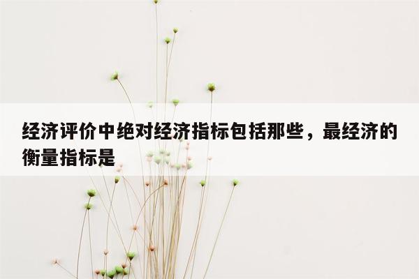 经济评价中绝对经济指标包括那些，最经济的衡量指标是