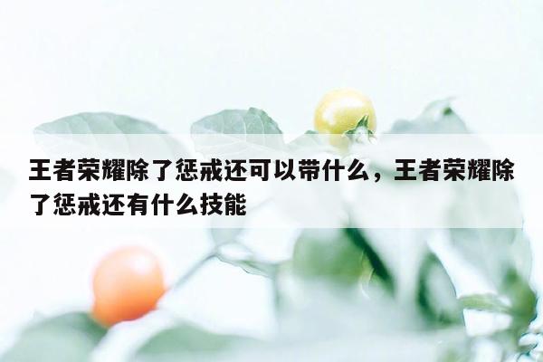 王者荣耀除了惩戒还可以带什么，王者荣耀除了惩戒还有什么技能