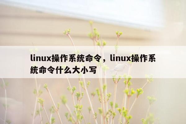 linux操作系统命令，linux操作系统命令什么大小写