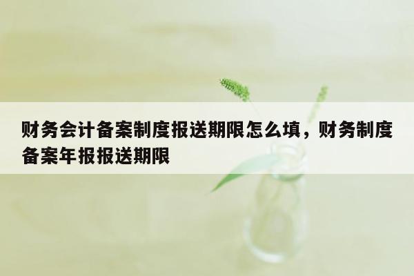 财务会计备案制度报送期限怎么填，财务制度备案年报报送期限