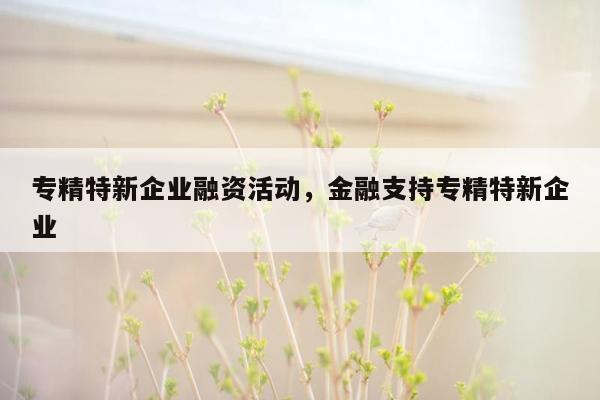 专精特新企业融资活动，金融支持专精特新企业