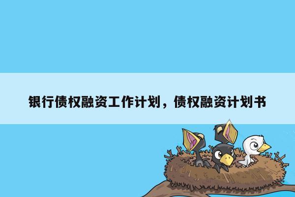 银行债权融资工作计划，债权融资计划书