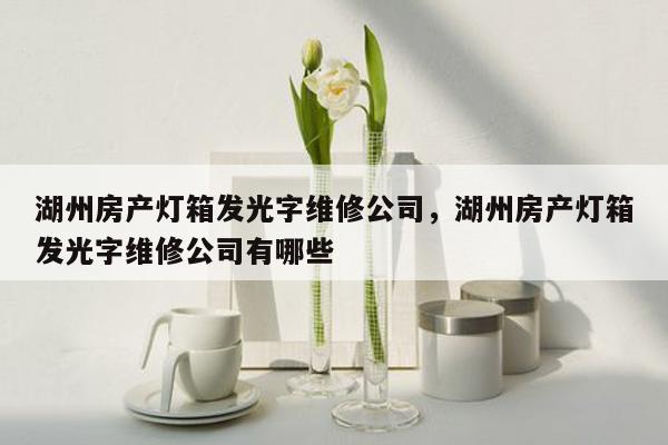 湖州房产灯箱发光字维修公司，湖州房产灯箱发光字维修公司有哪些