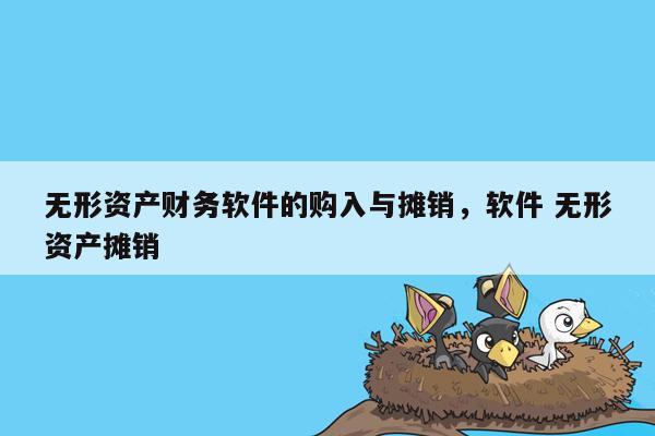 无形资产财务软件的购入与摊销，软件 无形资产摊销