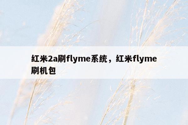 红米2a刷flyme系统，红米flyme刷机包