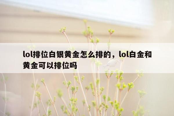 lol排位白银黄金怎么排的，lol白金和黄金可以排位吗