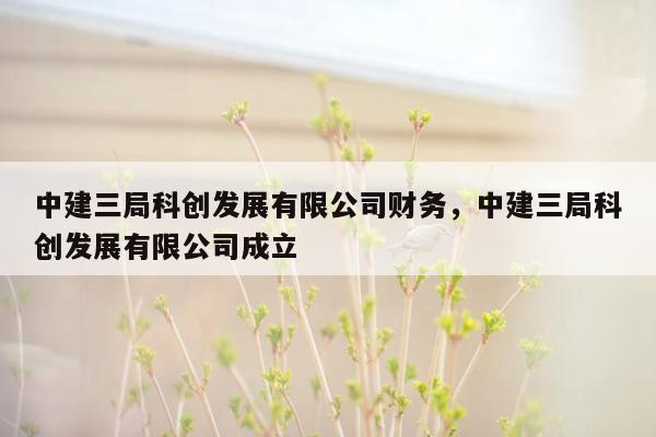 中建三局科创发展有限公司财务，中建三局科创发展有限公司成立