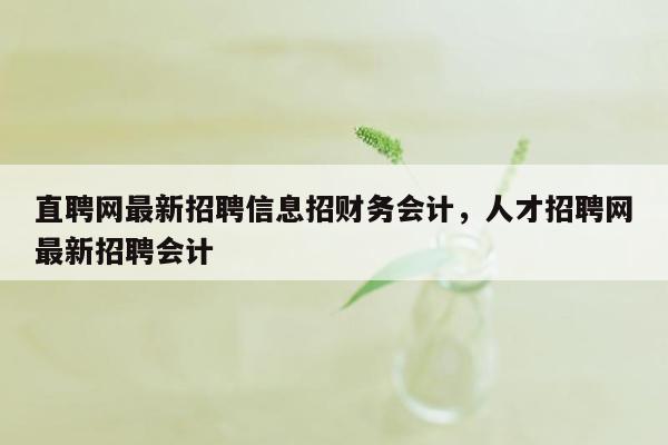 直聘网最新招聘信息招财务会计，人才招聘网最新招聘会计