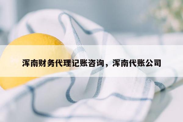 浑南财务代理记账咨询，浑南代账公司