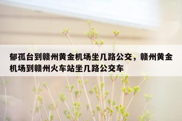 郁孤台到赣州黄金机场坐几路公交，赣州黄金机场到赣州火车站坐几路公交车