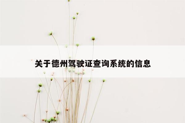 关于德州驾驶证查询系统的信息