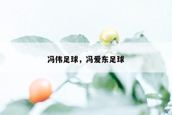 冯伟足球，冯爱东足球