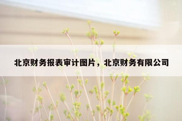北京财务报表审计图片，北京财务有限公司