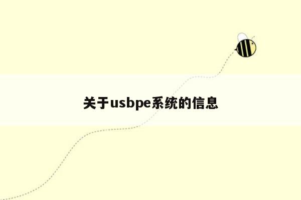 关于usbpe系统的信息