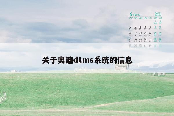 关于奥迪dtms系统的信息