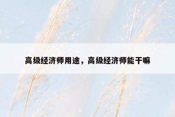 高级经济师用途，高级经济师能干嘛