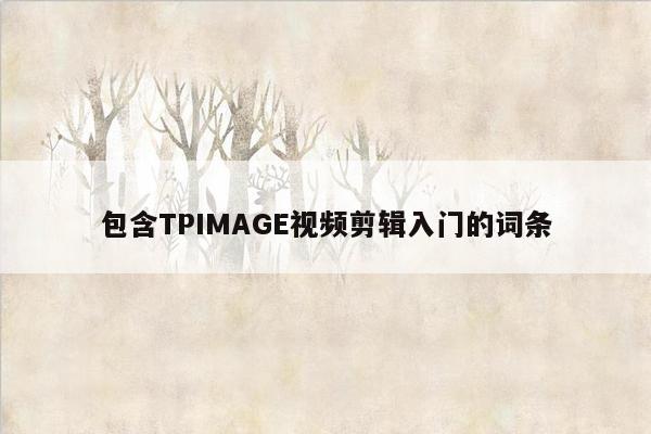 包含TPIMAGE视频剪辑入门的词条