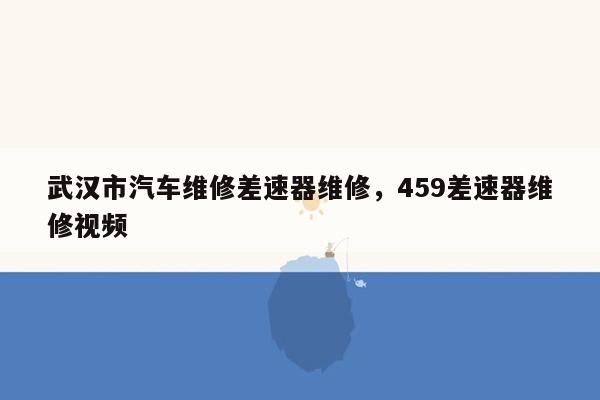 武汉市汽车维修差速器维修，459差速器维修视频