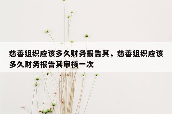 慈善组织应该多久财务报告其，慈善组织应该多久财务报告其审核一次