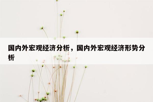 国内外宏观经济分析，国内外宏观经济形势分析