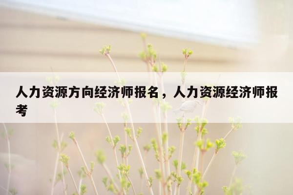 人力资源方向经济师报名，人力资源经济师报考