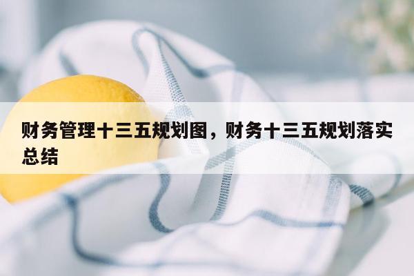 财务管理十三五规划图，财务十三五规划落实总结