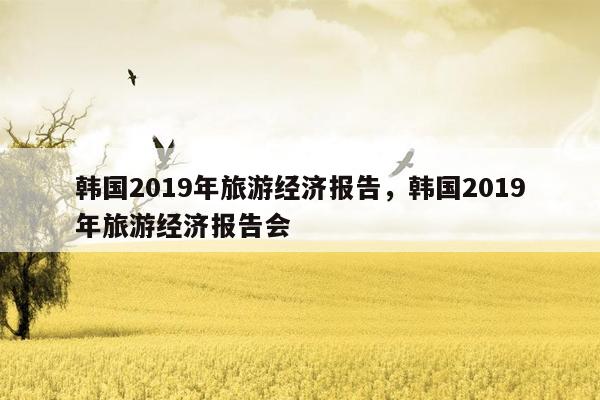 韩国2019年旅游经济报告，韩国2019年旅游经济报告会