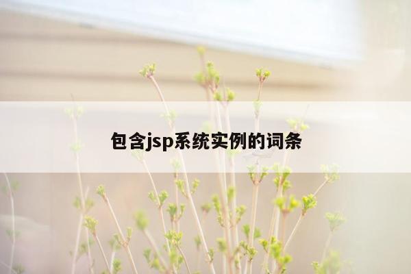 包含jsp系统实例的词条