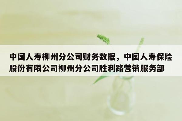 中国人寿柳州分公司财务数据，中国人寿保险股份有限公司柳州分公司胜利路营销服务部