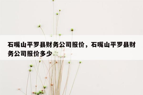 石嘴山平罗县财务公司报价，石嘴山平罗县财务公司报价多少