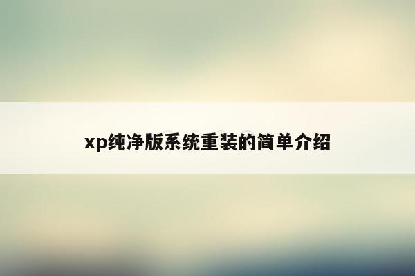 xp纯净版系统重装的简单介绍