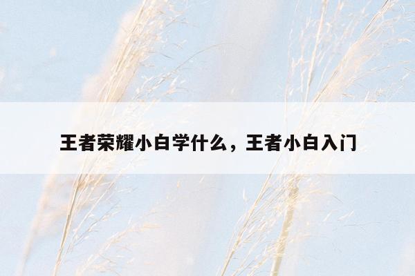 王者荣耀小白学什么，王者小白入门