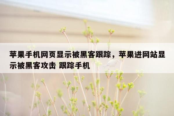 苹果手机网页显示被黑客跟踪，苹果进网站显示被黑客攻击 跟踪手机