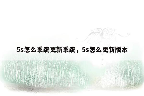 5s怎么系统更新系统，5s怎么更新版本