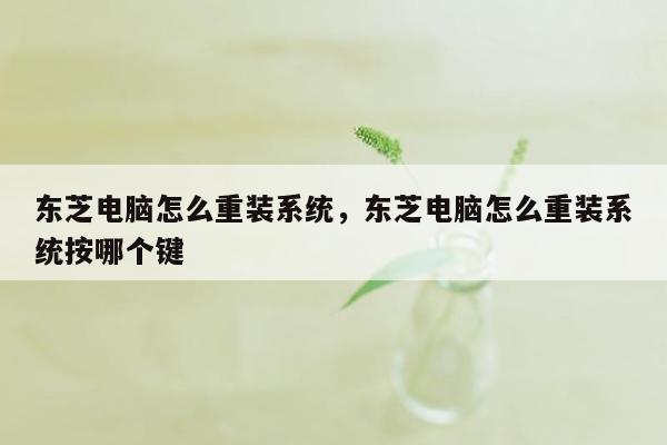 东芝电脑怎么重装系统，东芝电脑怎么重装系统按哪个键