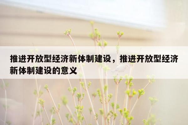 推进开放型经济新体制建设，推进开放型经济新体制建设的意义