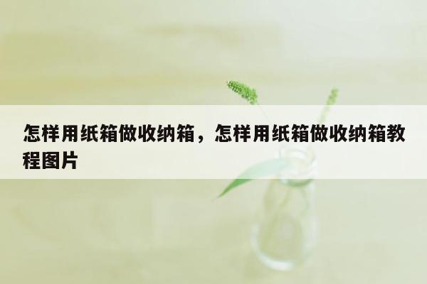 怎样用纸箱做收纳箱，怎样用纸箱做收纳箱教程图片