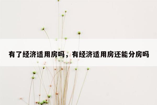 有了经济适用房吗，有经济适用房还能分房吗