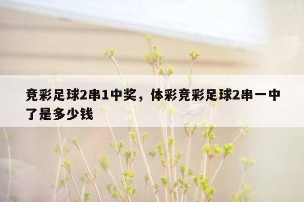 竞彩足球2串1中奖，体彩竞彩足球2串一中了是多少钱