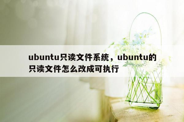 ubuntu只读文件系统，ubuntu的只读文件怎么改成可执行
