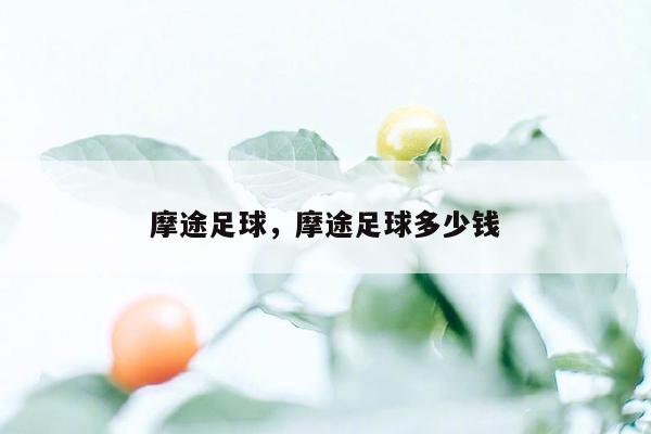 摩途足球，摩途足球多少钱